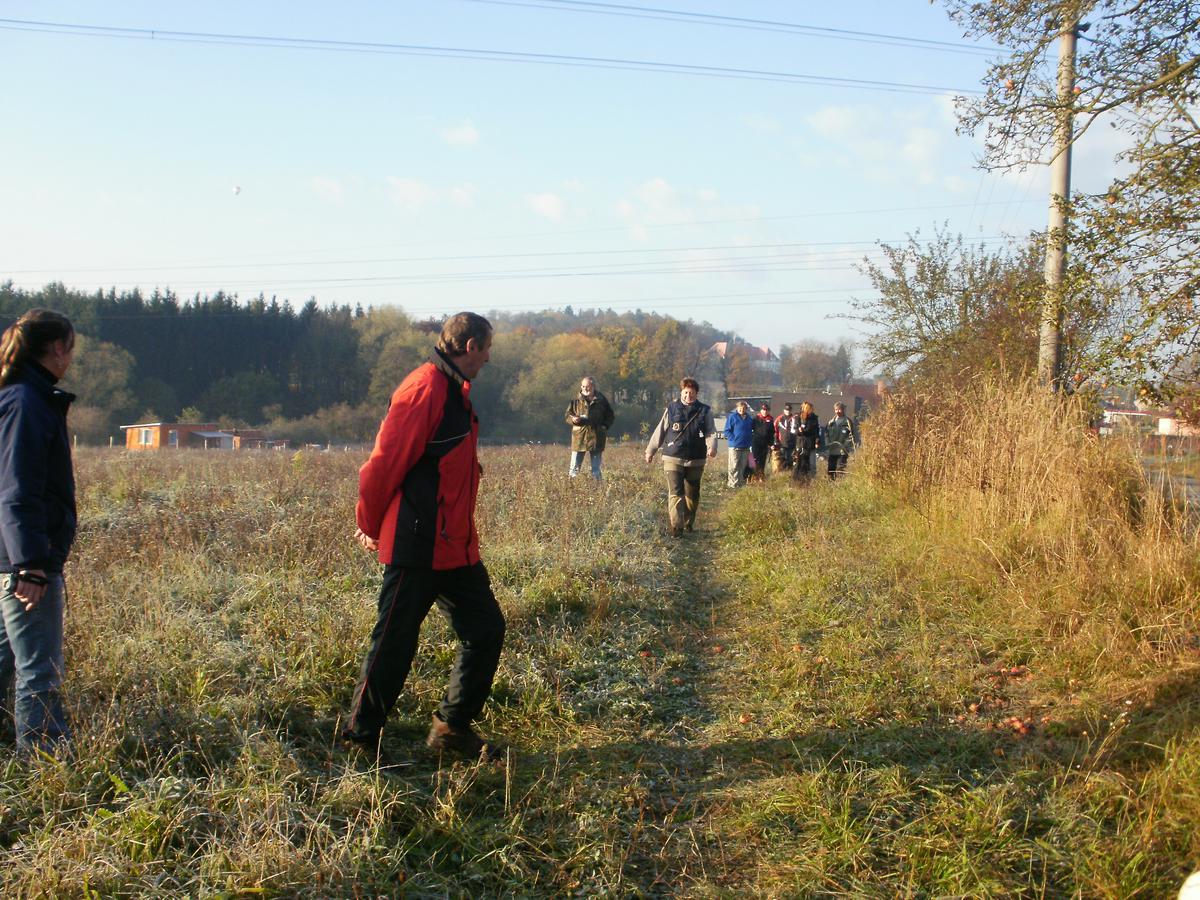 Speciální cviky- přivolání psa za stížených podmínek- skupinka kopající si s míčem + dva psi